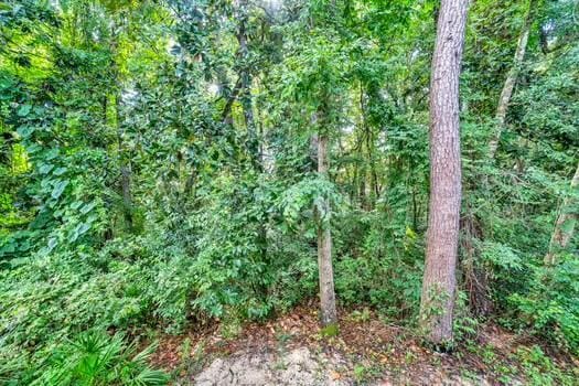 527 Maple Ave, Niceville, FL 32578 - photo 19