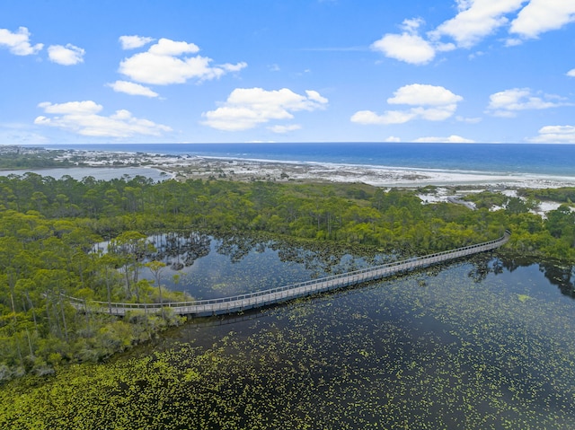 11 Blue Moon Ln, Santa Rosa Beach, FL 32459 - photo 16