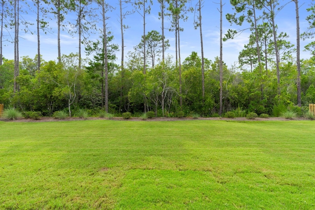 210 Revana Way, Freeport, FL 32439 - photo 31