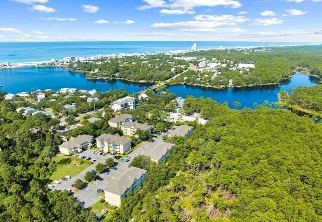 34 Herons Watch Way Unit 4206, Santa Rosa Beach, FL 32459 - photo 18