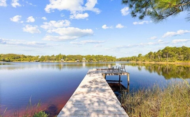 34 Herons Watch Way Unit 4206, Santa Rosa Beach, FL 32459 - photo 24