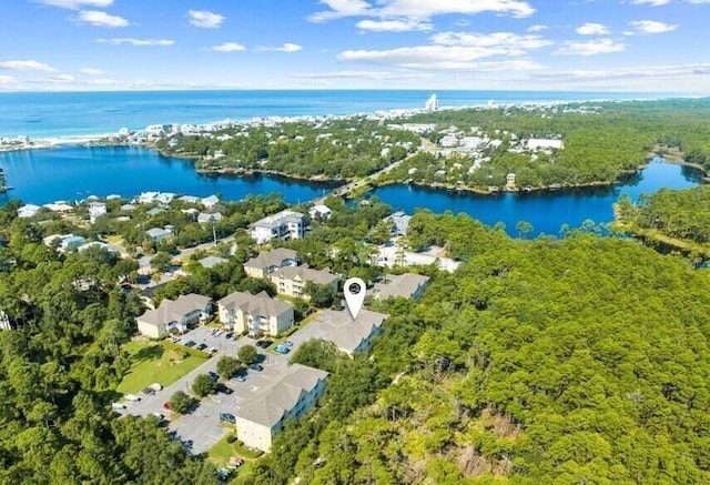 34 Herons Watch Way Unit 4206, Santa Rosa Beach, FL 32459 - photo 28