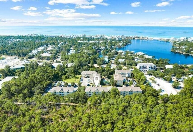 34 Herons Watch Way Unit 4206, Santa Rosa Beach, FL 32459 - photo 29