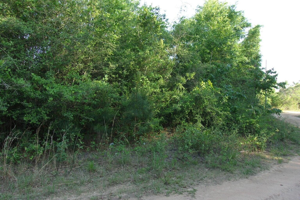 00 Curlew St, Crestview, FL 32539 - photo 2