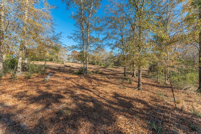 746 Davidson Rd, Defuniak Springs, FL 32433 - photo 73
