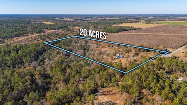 746 Davidson Rd, Defuniak Springs, FL 32433 - photo 82