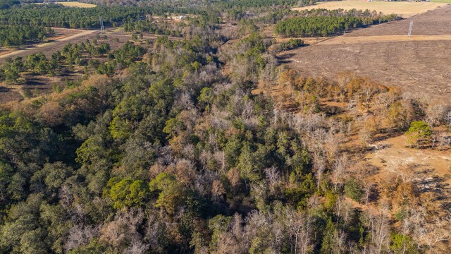 746 Davidson Rd, Defuniak Springs, FL 32433 - photo 89
