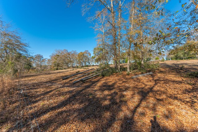 746 Davidson Rd, Defuniak Springs, FL 32433 - photo 92