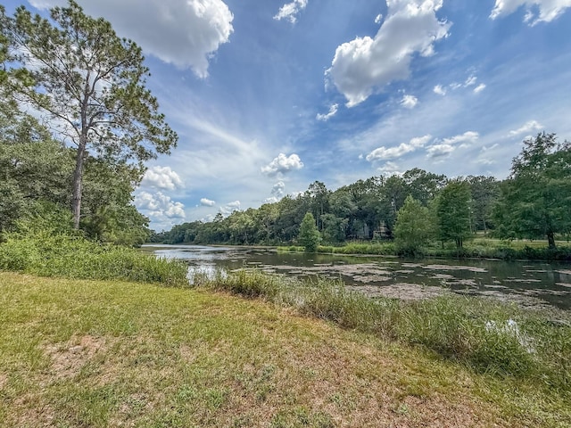 100 Overview Dr, Crestview, FL 32539 - photo 20