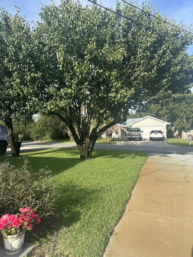 110 S Vestavia St, Panama City Beach, FL 32413 - photo 2