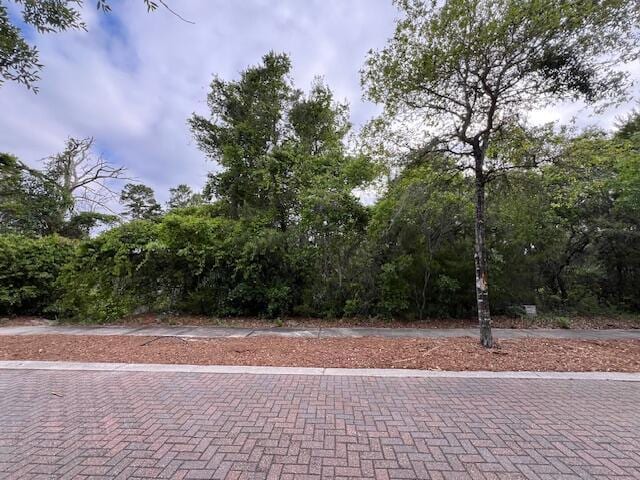 LOT5 W Okeechobee, Santa Rosa Beach, FL 32459 - photo 5