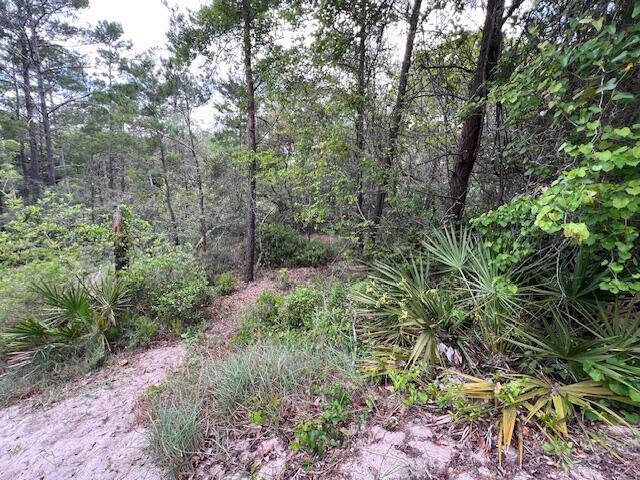 LOT5 W Okeechobee, Santa Rosa Beach, FL 32459 - photo 7