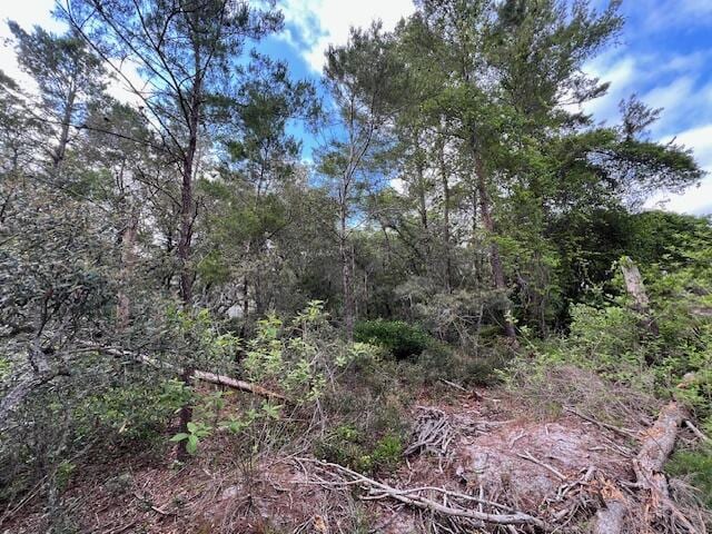 LOT5 W Okeechobee, Santa Rosa Beach, FL 32459 - photo 8