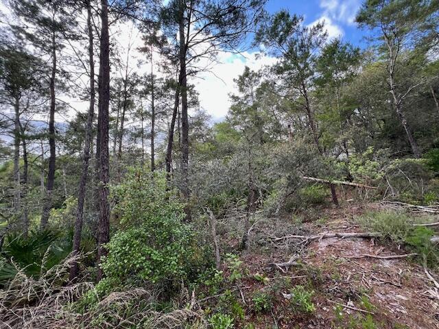LOT5 W Okeechobee, Santa Rosa Beach, FL 32459 - photo 9