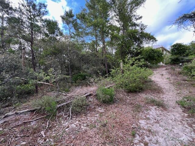LOT5 W Okeechobee, Santa Rosa Beach, FL 32459 - photo 10