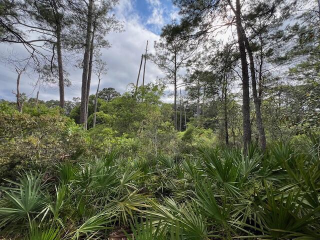 LOT5 W Okeechobee, Santa Rosa Beach, FL 32459 - photo 12