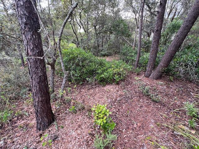 LOT5 W Okeechobee, Santa Rosa Beach, FL 32459 - photo 13
