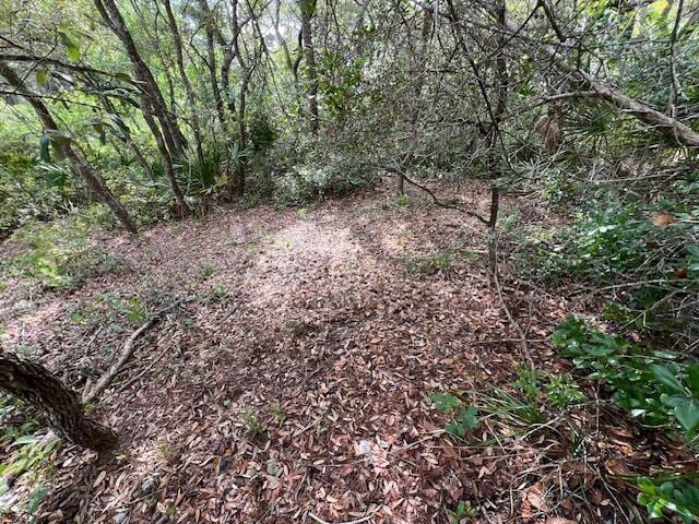 LOT5 W Okeechobee, Santa Rosa Beach, FL 32459 - photo 14