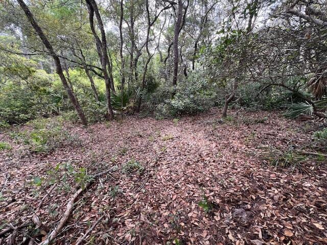LOT5 W Okeechobee, Santa Rosa Beach, FL 32459 - photo 15
