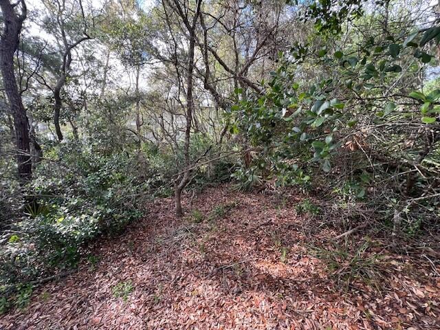 LOT5 W Okeechobee, Santa Rosa Beach, FL 32459 - photo 16