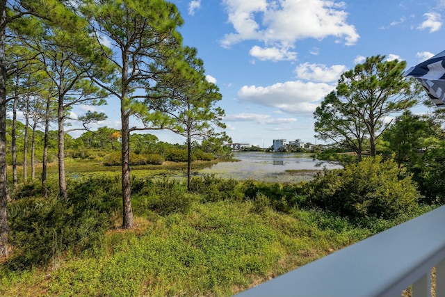 62 Woodward Dr, Santa Rosa Beach, FL 32459 - photo 52