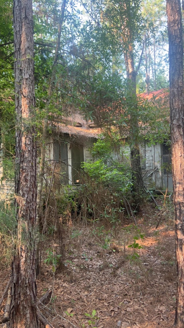 72ACRES Grimes Rd, Laurel Hill, FL 32567 - photo 7