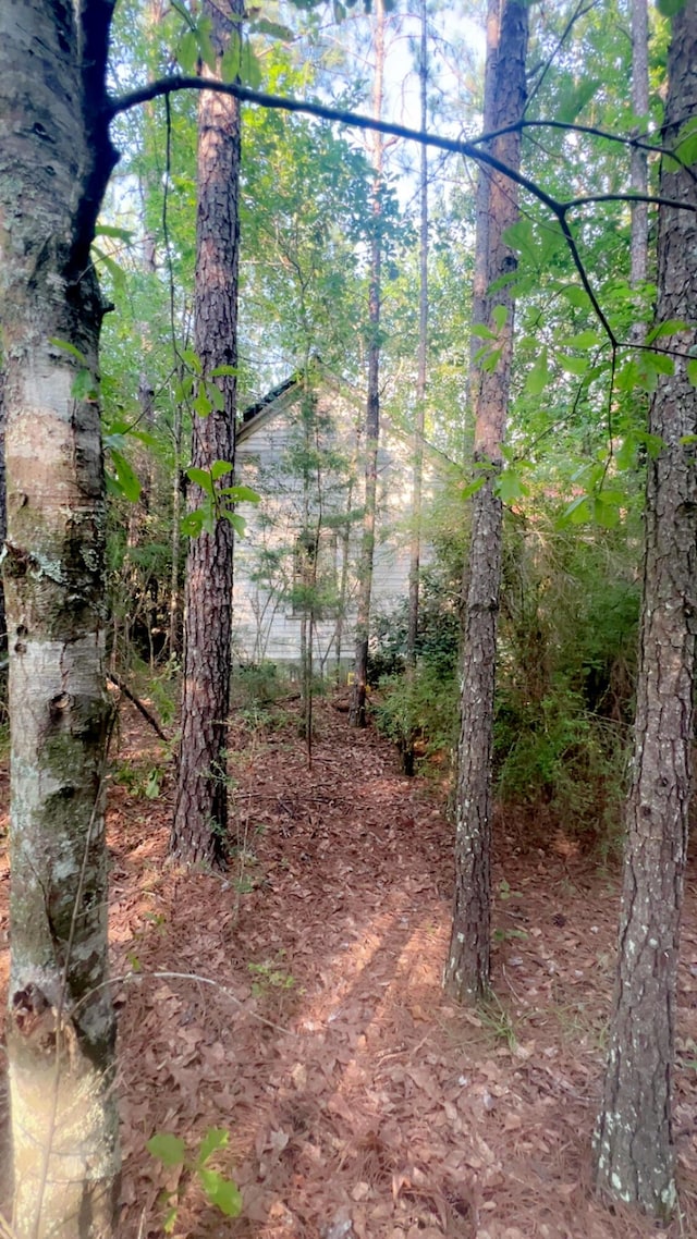 72ACRES Grimes Rd, Laurel Hill, FL 32567 - photo 3