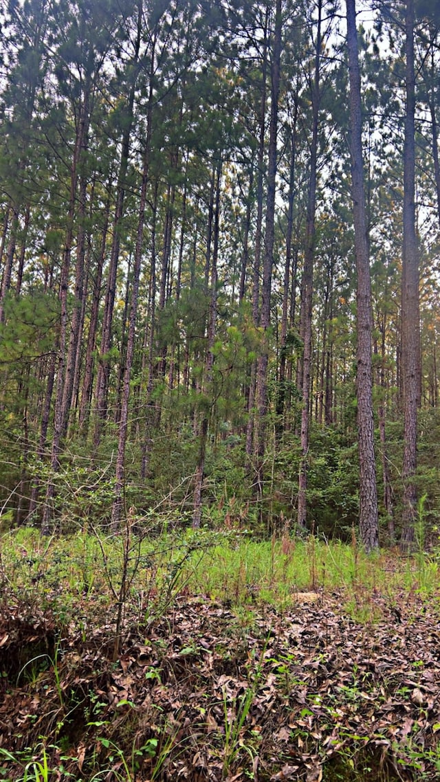 72ACRES Grimes Rd, Laurel Hill, FL 32567 - photo 6