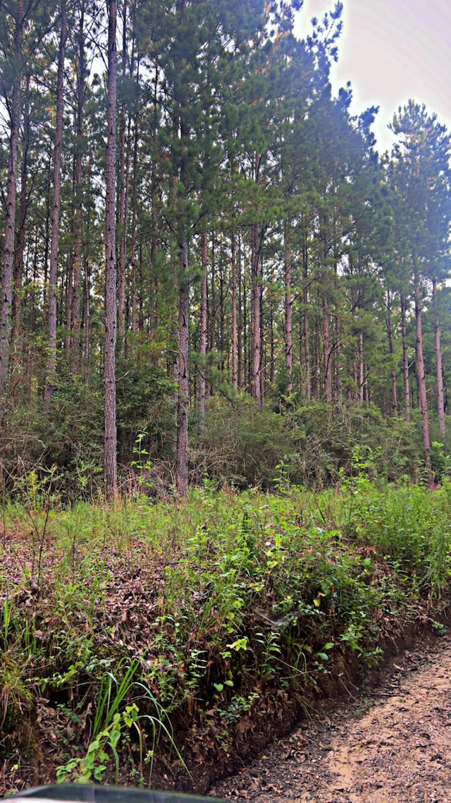 72ACRES Grimes Rd, Laurel Hill, FL 32567 - photo 2