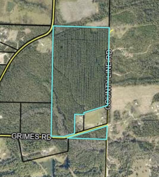 72ACRES Grimes Rd, Laurel Hill, FL 32567 - photo 1
