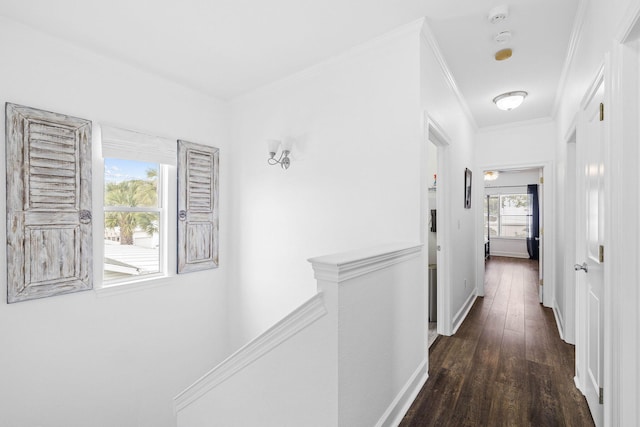 355 Driftwood Rd Unit 6, Miramar Beach, FL 32550 - photo 21