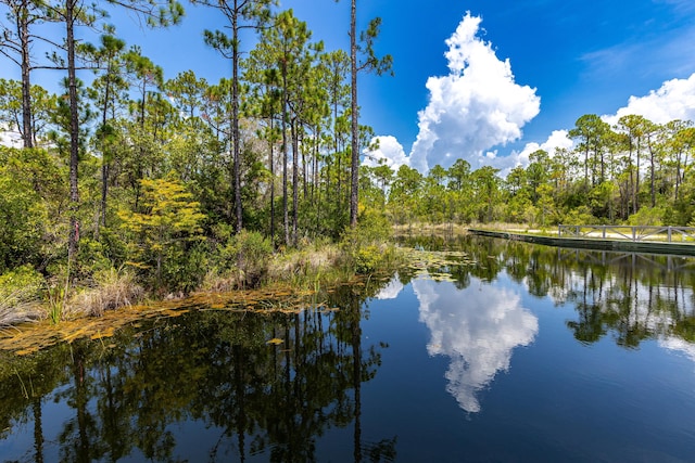 235 Prairie Pass, Santa Rosa Beach, FL 32459 - photo 57