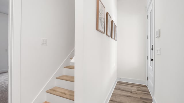 2709 Lagoon Manor Dr, Panama City Beach, FL 32408 - photo 12