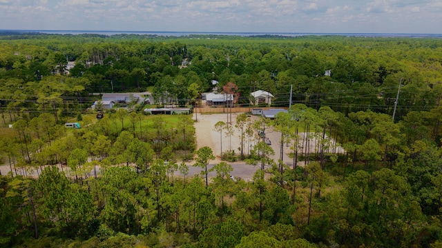 21 W Hewett Point Rd, Santa Rosa Beach, FL 32459 - photo 9