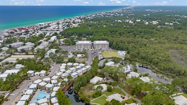 231 Somerset Bridge Rd Unit 1308, Santa Rosa Beach, FL 32459 - photo 60