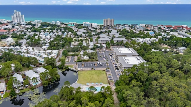 231 Somerset Bridge Rd Unit 1308, Santa Rosa Beach, FL 32459 - photo 64