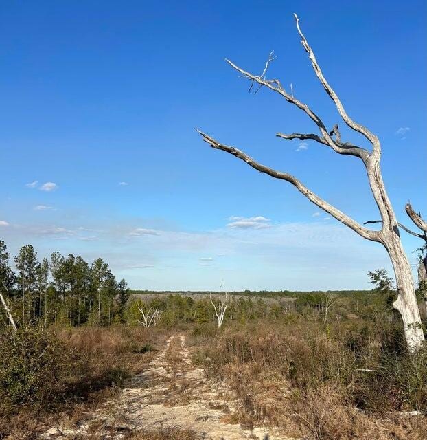 00 James Luther Rd, Ponce De Leon, FL 32455 - photo 1