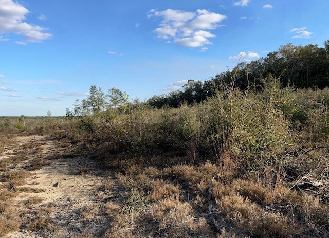 00 James Luther Rd, Ponce De Leon, FL 32455 - photo 2