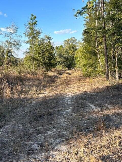 00 James Luther Rd, Ponce De Leon, FL 32455 - photo 3