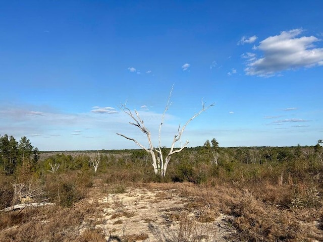 00 James Luther Rd, Ponce De Leon, FL 32455 - photo 4