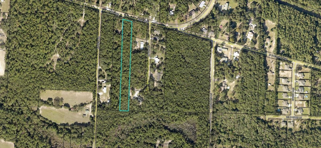 1359 E Chestnut Ave, Crestview, FL 32539 - photo 3