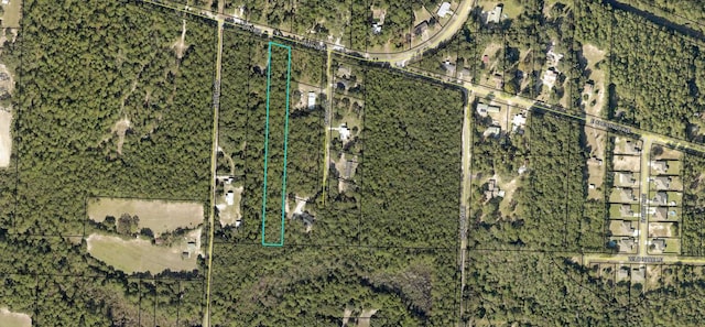 1359 E Chestnut Ave, Crestview, FL 32539 - photo 3