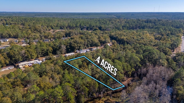LOT39 Bass Haven Dr, Defuniak Springs, FL 32433 - photo 2
