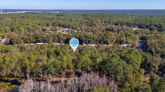 LOT39 Bass Haven Dr, Defuniak Springs, FL 32433 - photo 5