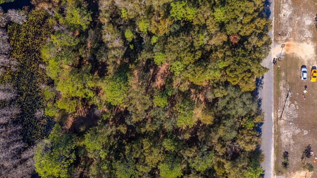 LOT39 Bass Haven Dr, Defuniak Springs, FL 32433 - photo 6