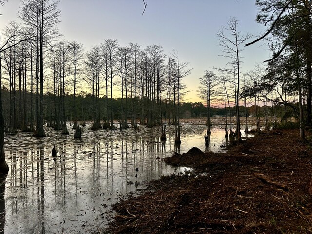 LOT39 Bass Haven Dr, Defuniak Springs, FL 32433 - photo 8
