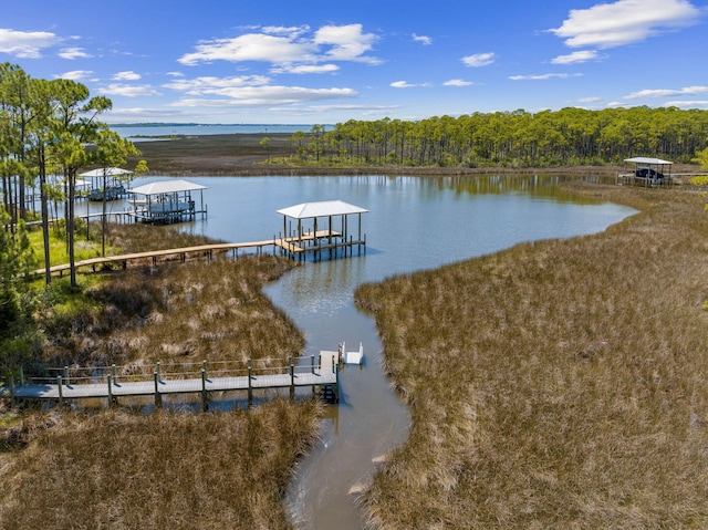 I-3 Mallard Ln, Santa Rosa Beach, FL 32459 - photo 29