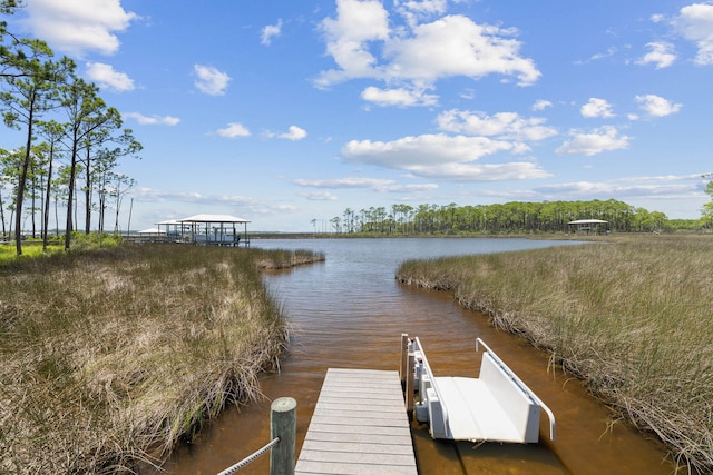 I-3 Mallard Ln, Santa Rosa Beach, FL 32459 - photo 31