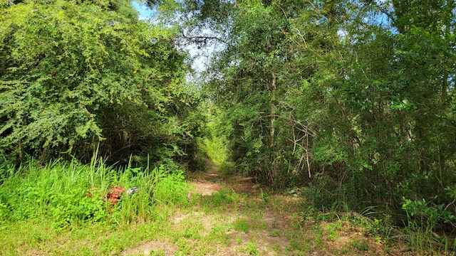 00 NE Second Ave, Crestview, FL 32539 - photo 2