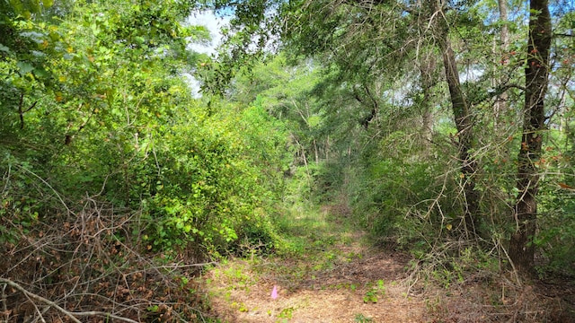 00 NE Second Ave, Crestview, FL 32539 - photo 5